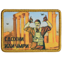 Нашивка, патч "Пальмира" тактическая с липучкой.