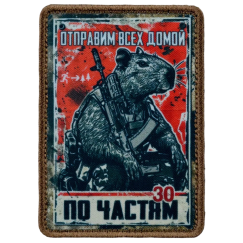 Нашивка, патч "По частям, Капибара, серия 30" тактическая с липучкой.
